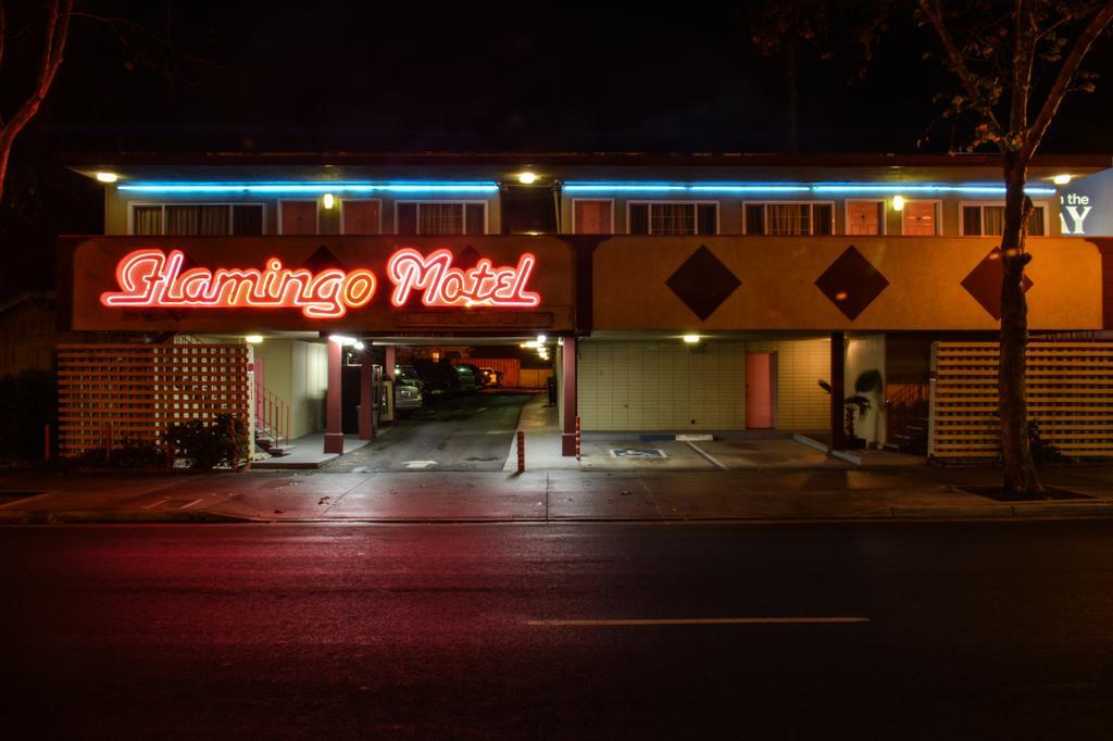 The Flamingo Motel San José Zewnętrze zdjęcie